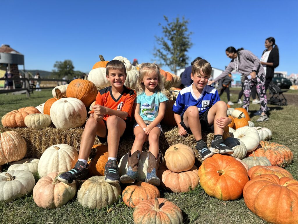 Pumpkin Patches in NWA