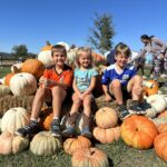 Pumpkin Patches in NWA