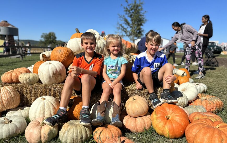 Pumpkin Patches in NWA