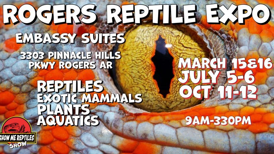 Show Me Reptile